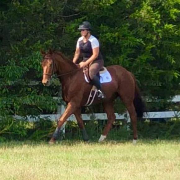 Meet your Posher, Abby - Picture 1 of 1